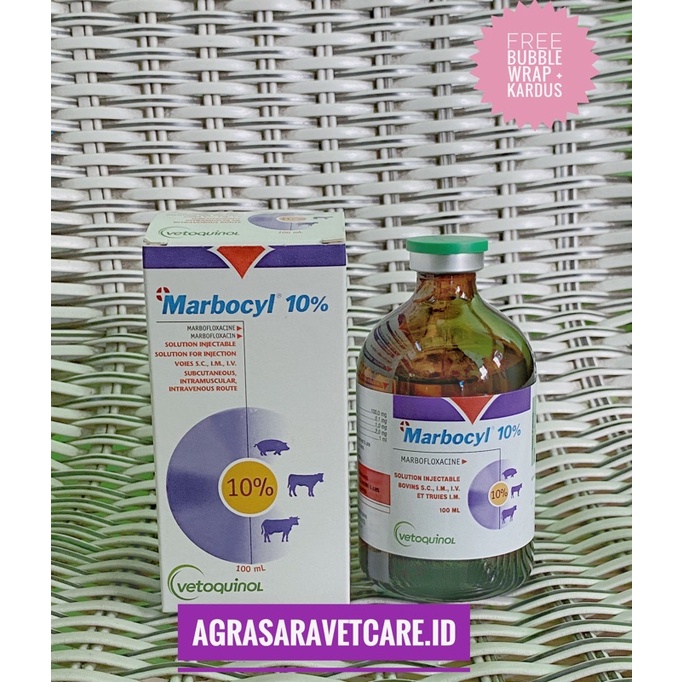 Obat Injeksi Marbofloxacin 10% untuk Sapi Babi Kuda 100 ml
