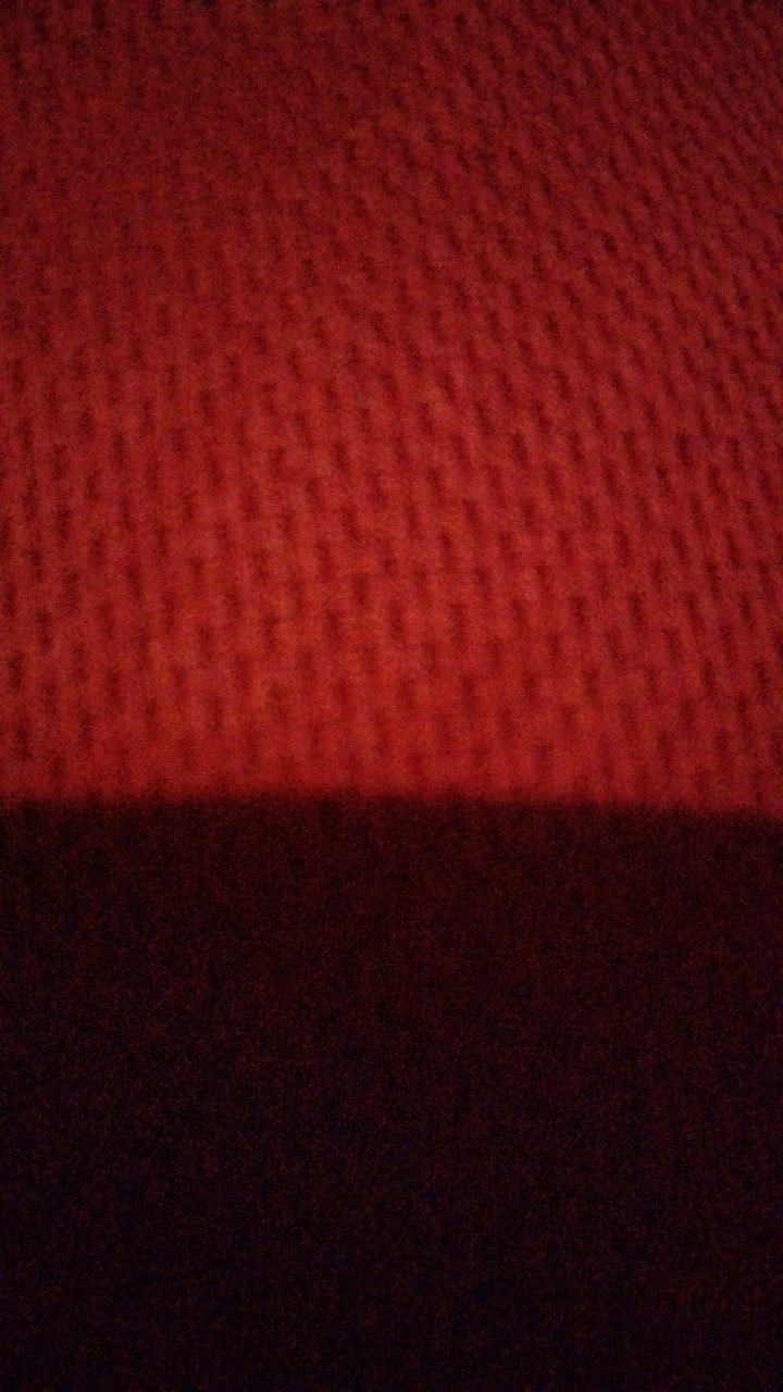 Kepala Gesper Logo Pemasyarakatan