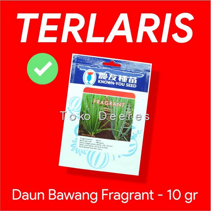 Jual Benih Daun Bawang Fragrant Gr Known You Seed Bibit Kecil Freda Miranda Fragran