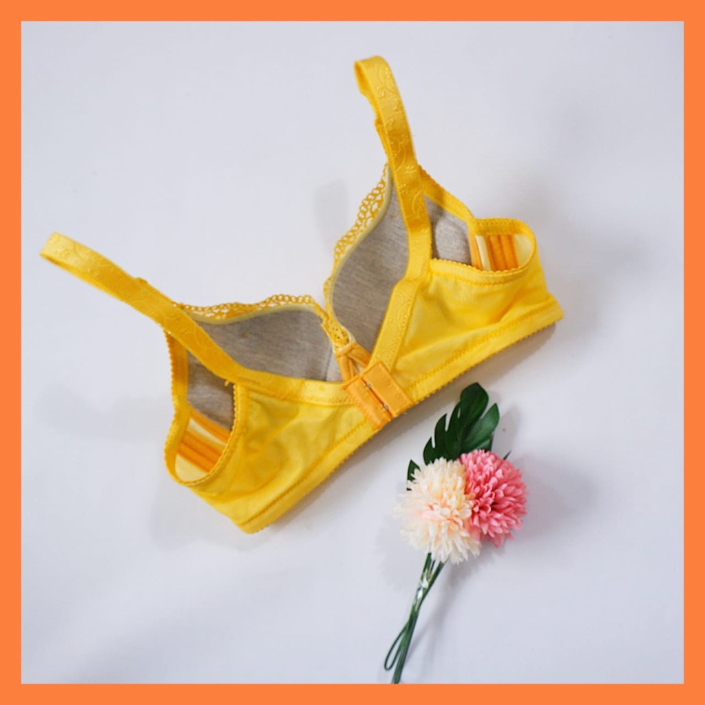 BRA IMPORT / BRA IMPORT MURAH / BH IMPORT PREMIUM/