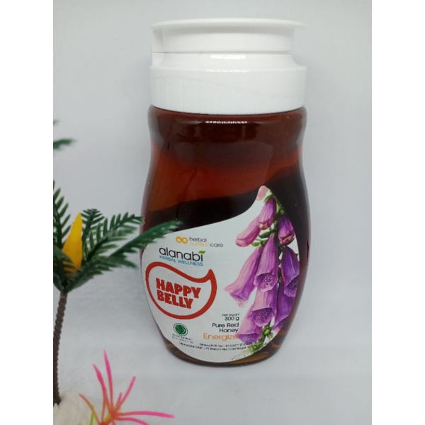 

Madu Alanabi - Pure Red Honey Madu menambah Energi