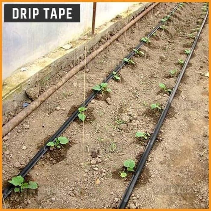 Selang Drip Tape 16 mm, Spacing 20 cm, Flow 2 Lph - Drip Irrigation