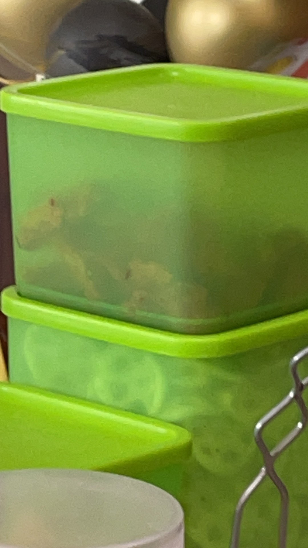 Calista Fresh Wadah Makanan Set Isi 3 Buah Warna Random