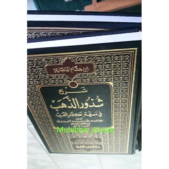 Syudzurudz Dzahab fi Ma'rifati Kalam Arab