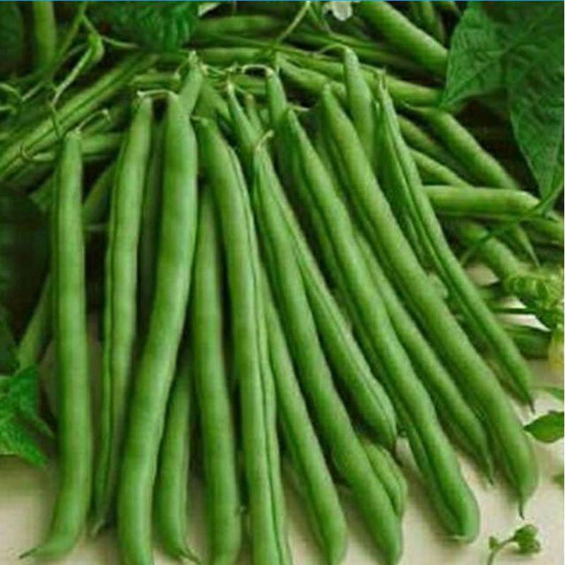 

sayur buncis 250 gram