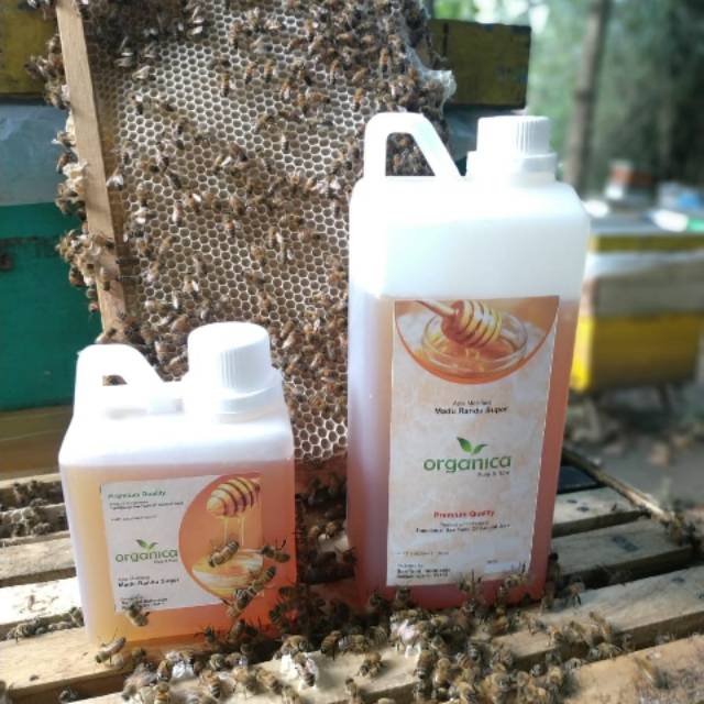 

Madu asli madu randu murni tanpa diolah 1 kg 500gr