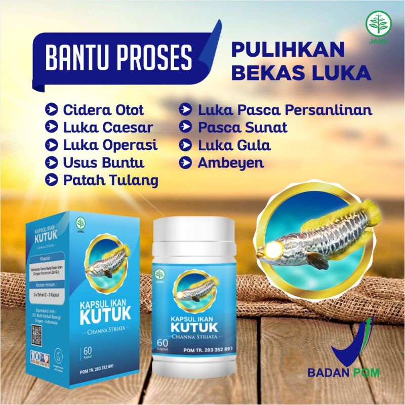 Kapsul Ikan Kutuk