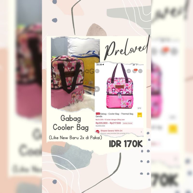 PRELOVED Cooler Bag GABAG