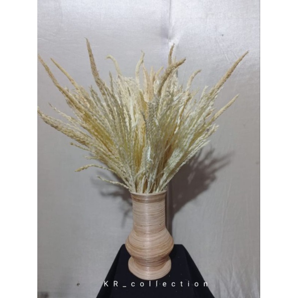 1 IKAT BUNGA JAGUNG BLEACHING / BUNGA KERING BAHAN BUKET PERLENGKAPAN DECORASI / DRIET FLOWERS