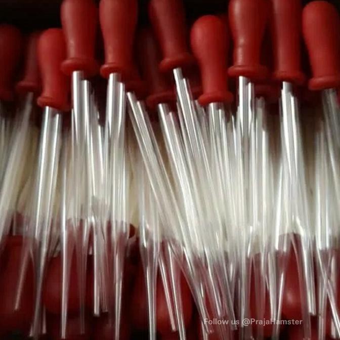 Spet Pipet Kaca Kecil Untuk Obat Vitamin Susu Hewan