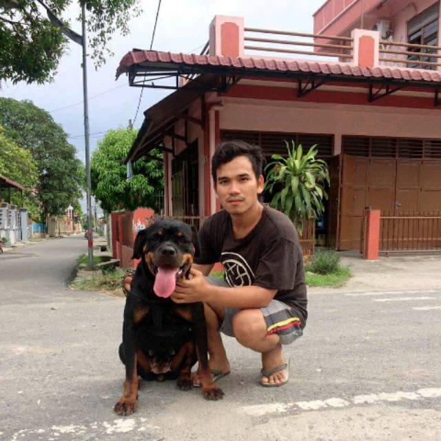 donnymarulisimanjuntak