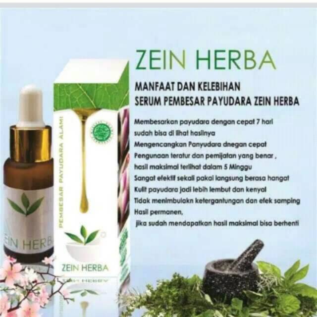 ZEIN HERBA SERUM PEMBESAR PAYUDARA HERBAL ALAMI TERCEPAT