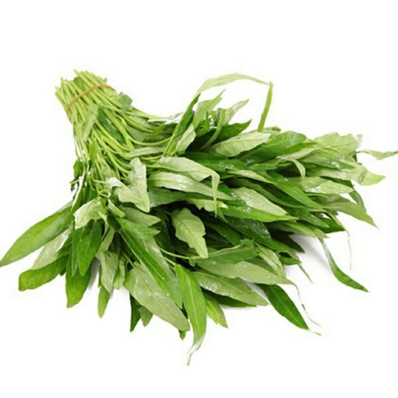 

sayur kangkung