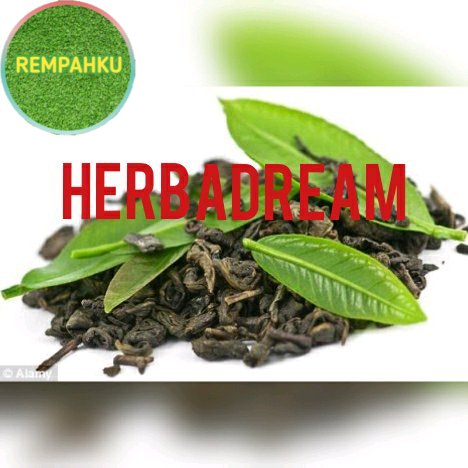 

BUBUK ORGANIK TEH HIJAU IJO LOKAL CAMELLIA SINENSIS GREEN TEA HA