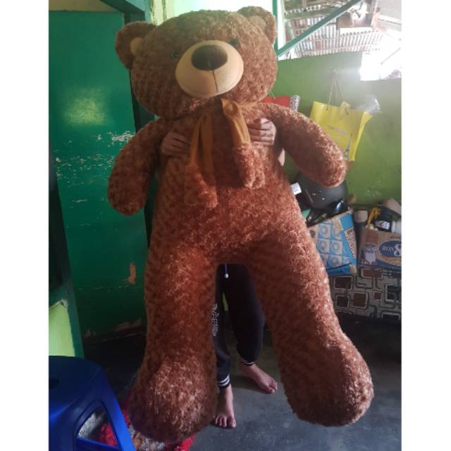 1.2 m teddy bear