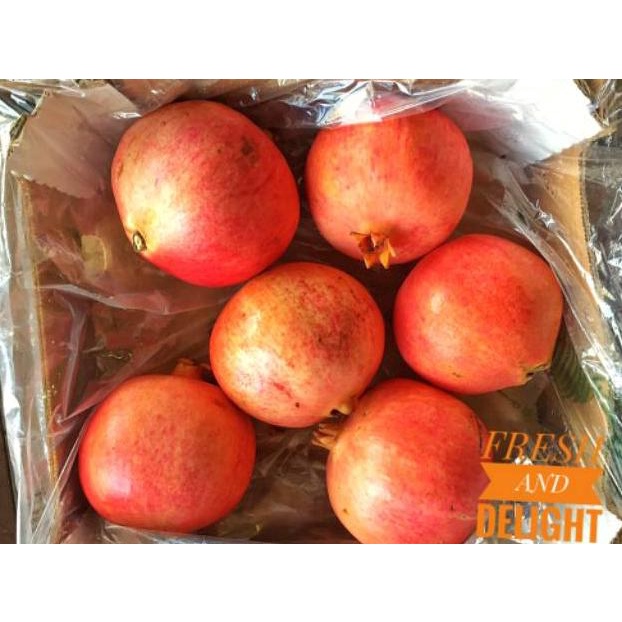 

Delima Pomegranate Peru Import Premium (ART. W8244)