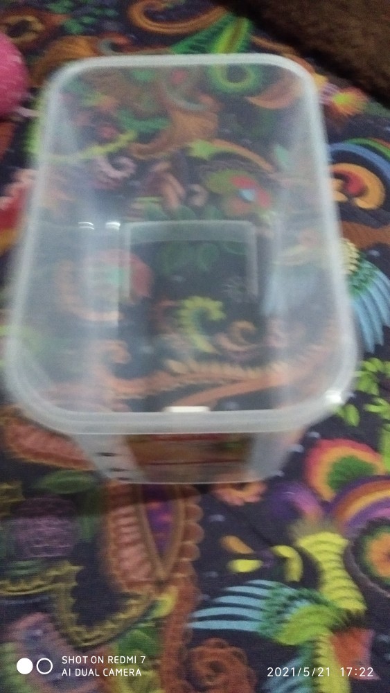 Box Beras Lion Star Oriza 6.5 Kg/tempat Beras (model Tutup Flip) Lion Star 6.5 Kg