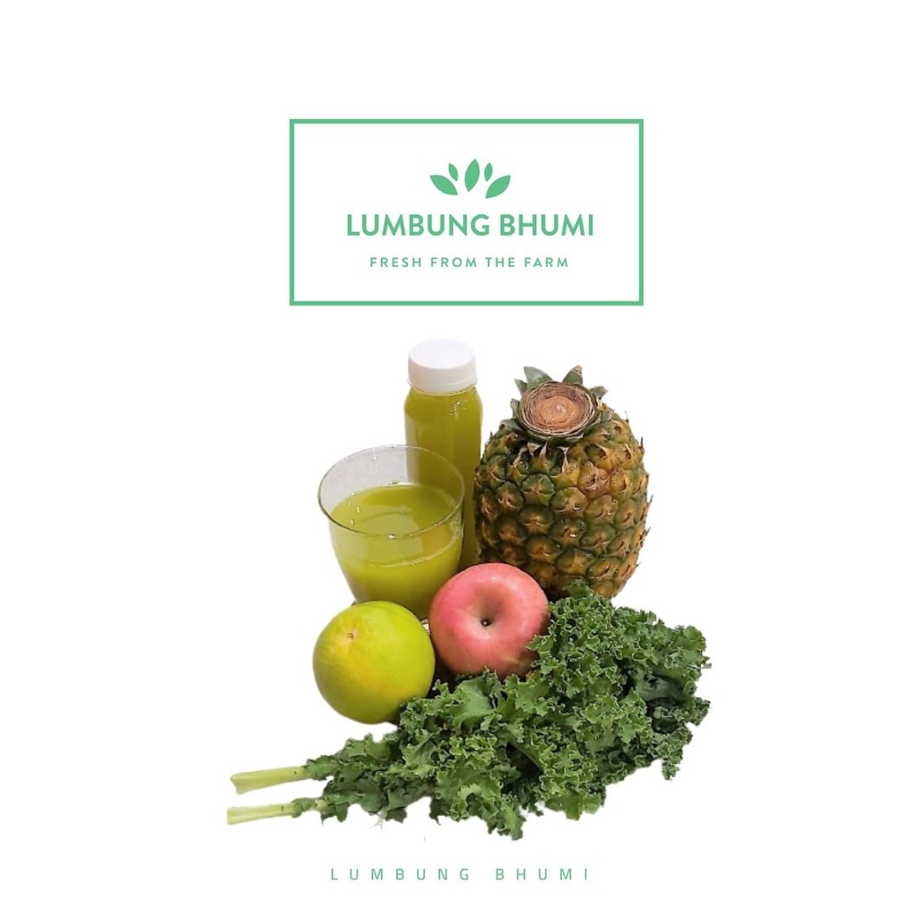 

Lumbung Bhumi - Jus Sayur Kale INFUSED 500 ml ( Juice Your Day )