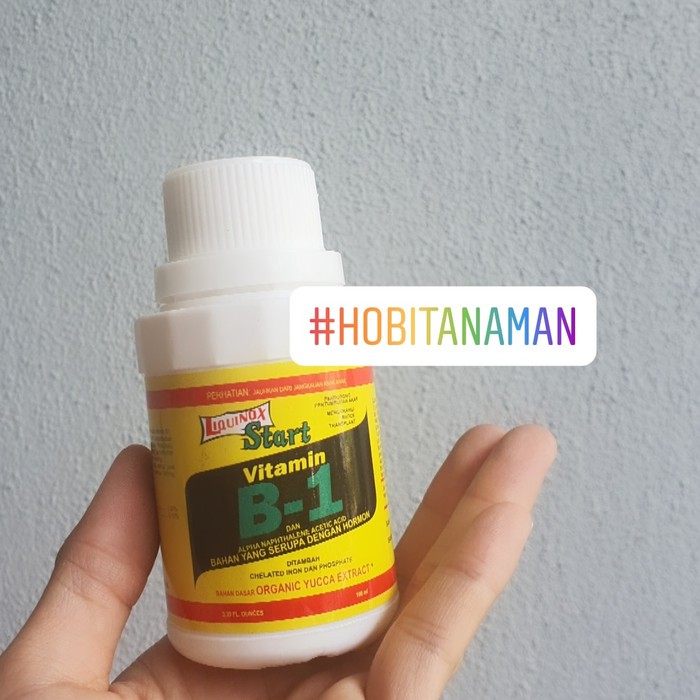 VIT B1 - tanaman