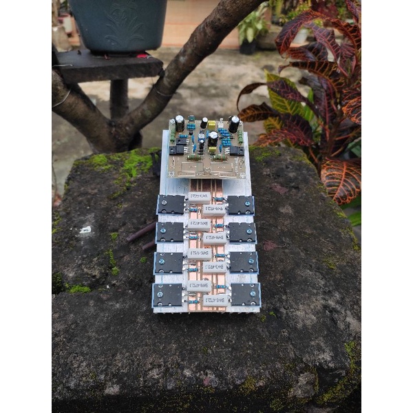 socl 504 teff plus final