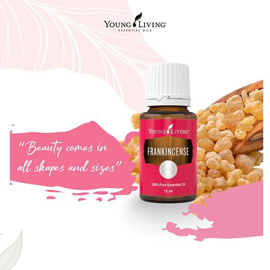 Frankincense YL Essential Oil 5 ML (Ori & Segel)