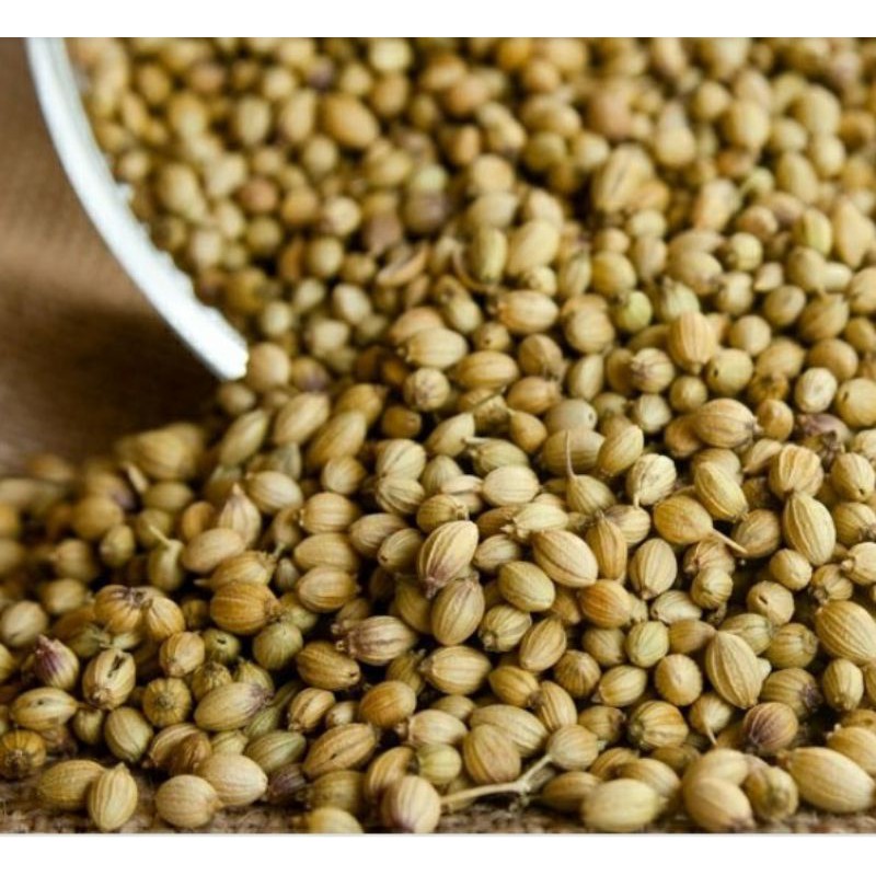 

Rempah Ketumbar 40 gram