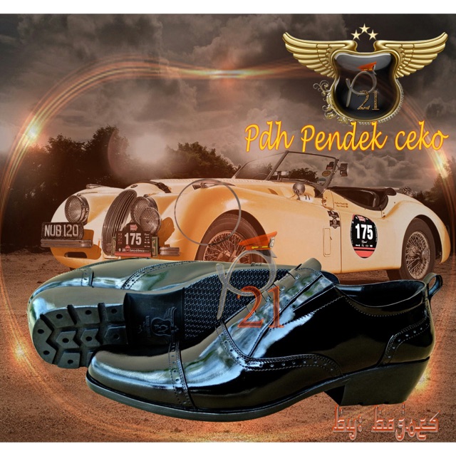 Sepatu pria p21
