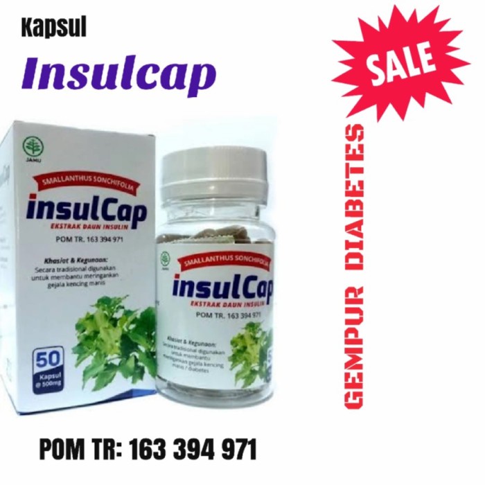 Insulcap Herbal Ampuh Untuk Penderita Diabetes dan Kencing Manis 50 Kapsul