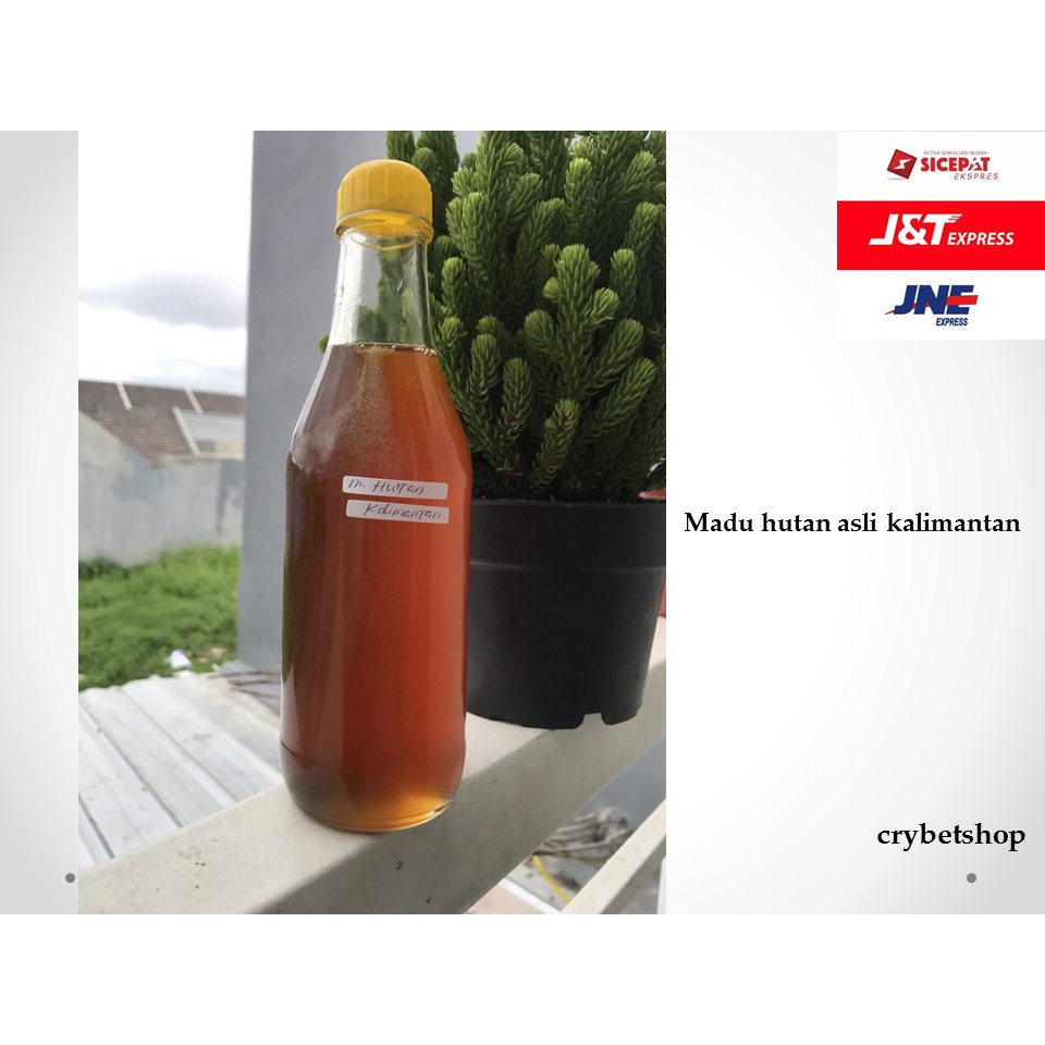 

Madu Hutan Asli Kalimantan Botol Kaca Berkhasiat Dan Ada Kandungan Gizi C0U7