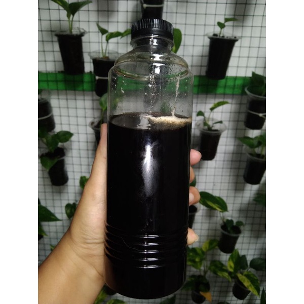 

madu hutan 1/2 kg