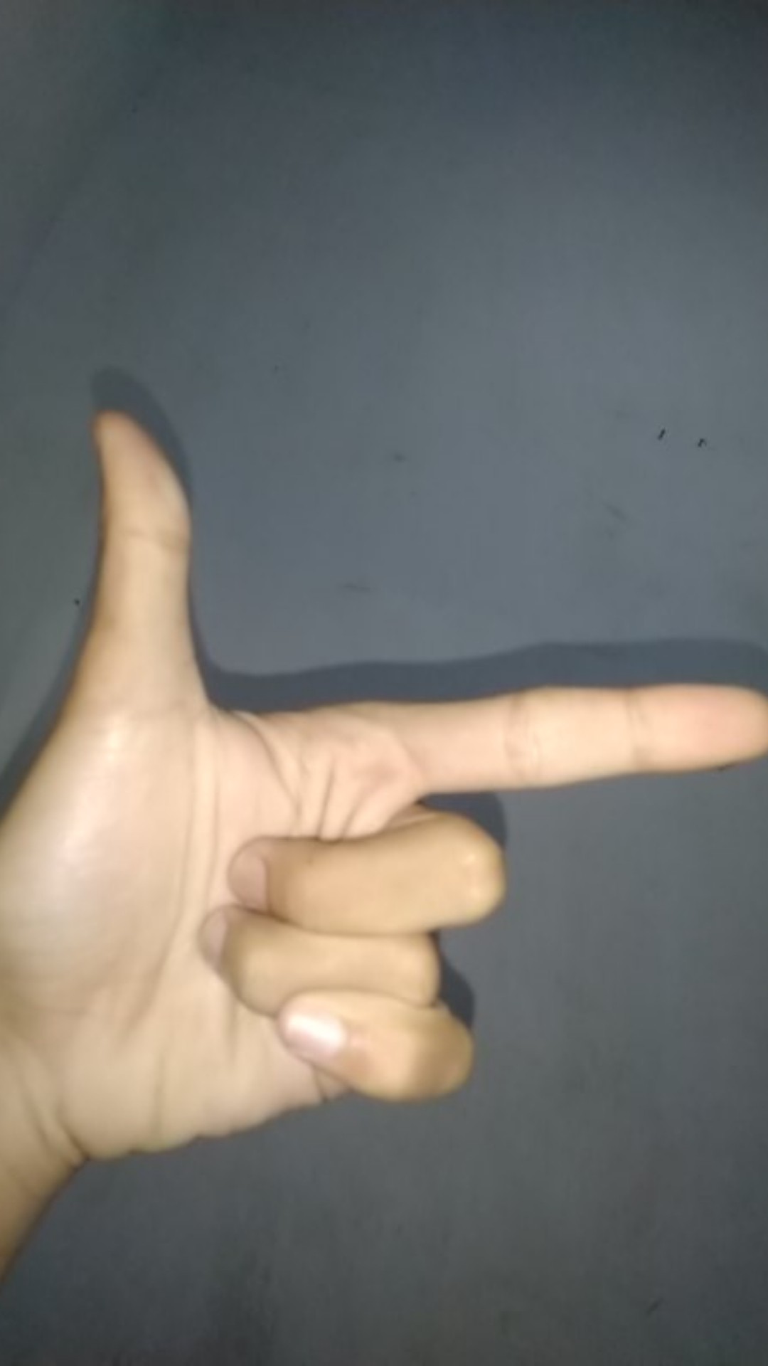 Akar Bahar Singa Jumbo