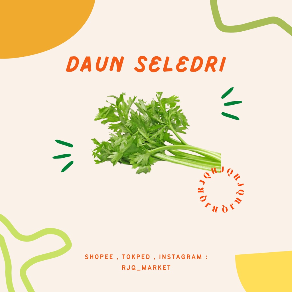 

DAUN SELEDRI - SAYURAN SEGAR