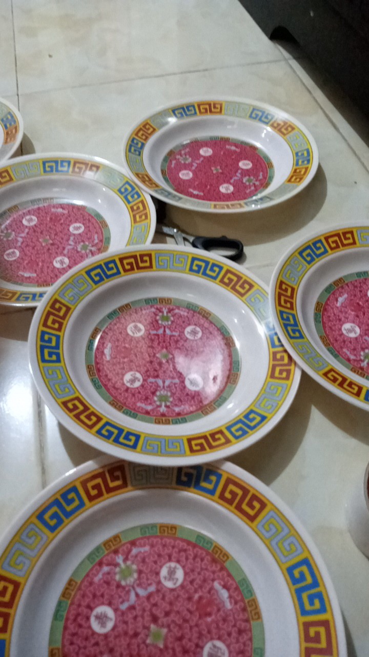 12 Pcs Piring Melamine Motif3