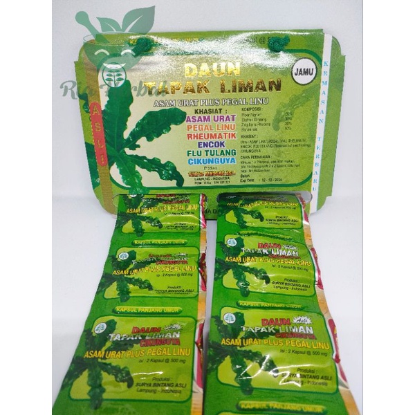 Jual Daun Tapak Liman Kapsul Original Shopee Indonesia