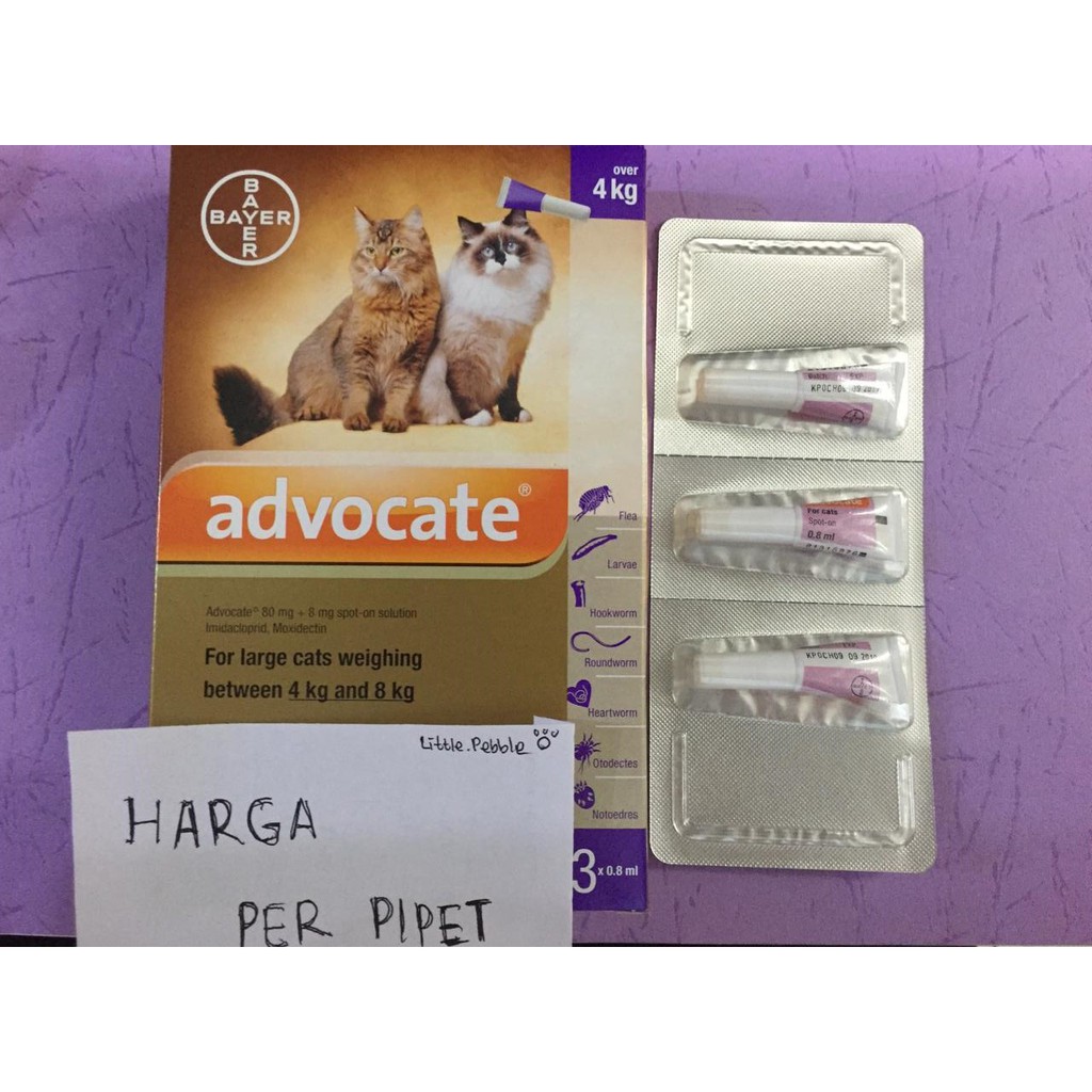 ADVOCATE CAT-OBAT KUTU-CACING TETES KUCING - berat 4-8kg -PER PIPET