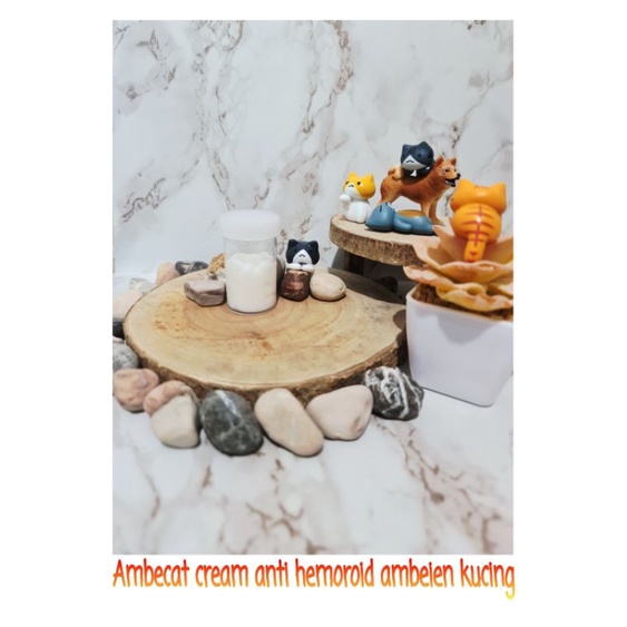 Ambecat cream anti hemoroid ambeien kucing