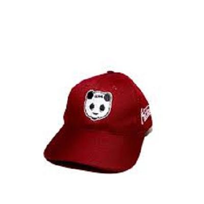 Topi Kickout Topi Distro Topi Panda Topi Bordir Karakter Topi Pria Wanita