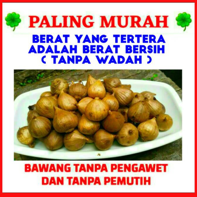

Bawang Hitam Tunggal/Lanang/250 gr/1/4 Kg (PALING MURAH) Kode 33