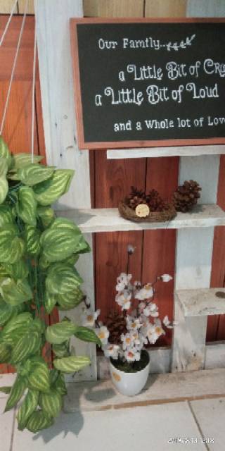 Birdnest Sarang Burung Daun Pinus Dekorasi Rustic mahar cincin 11 cm