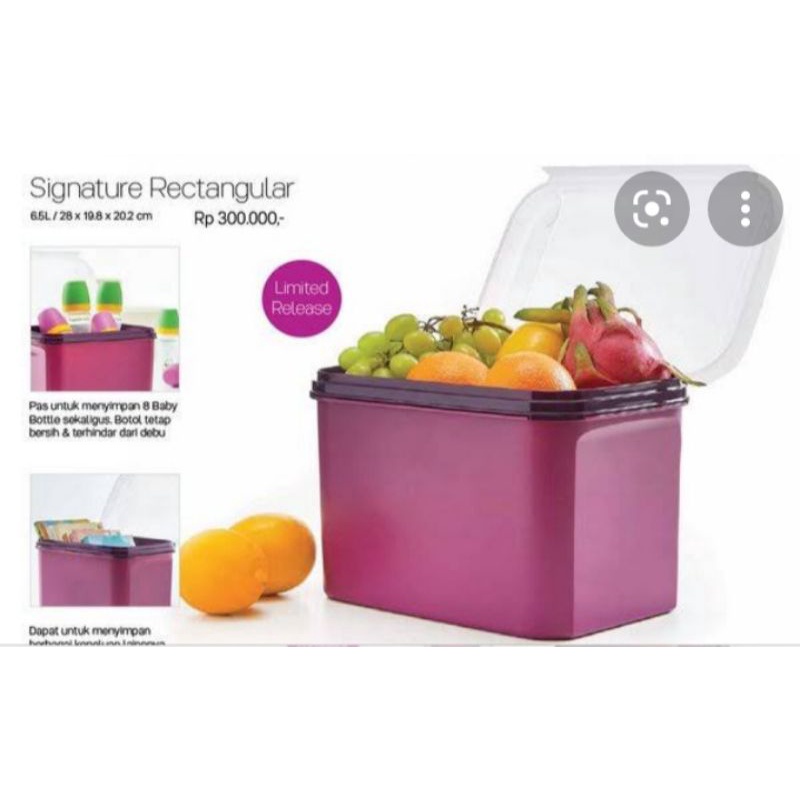 Signature Rect#3 6,5L