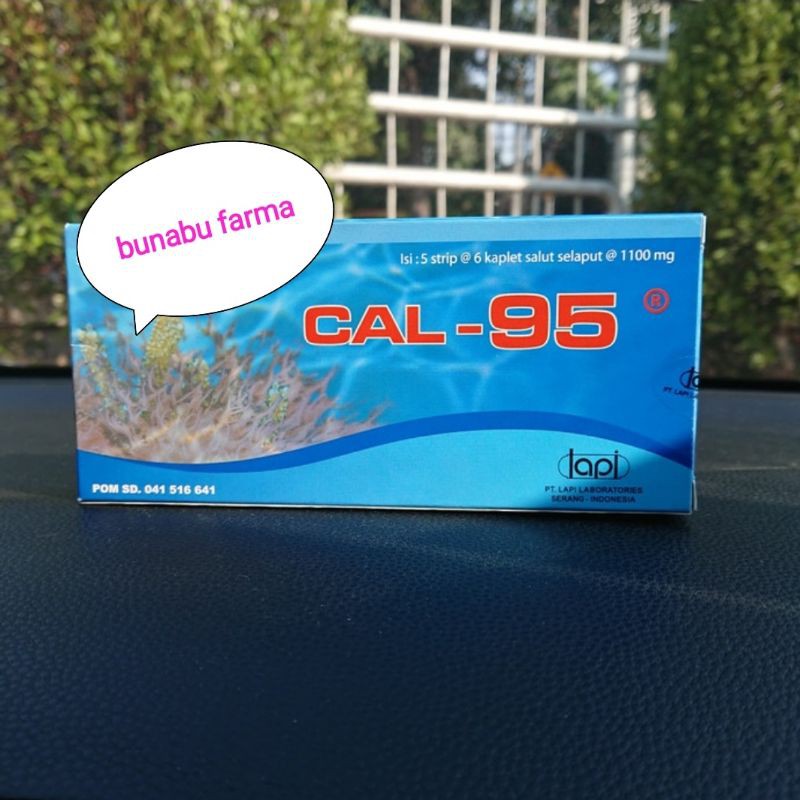 Cal 95 / Cal-95 / Cal95 / Cal - 95