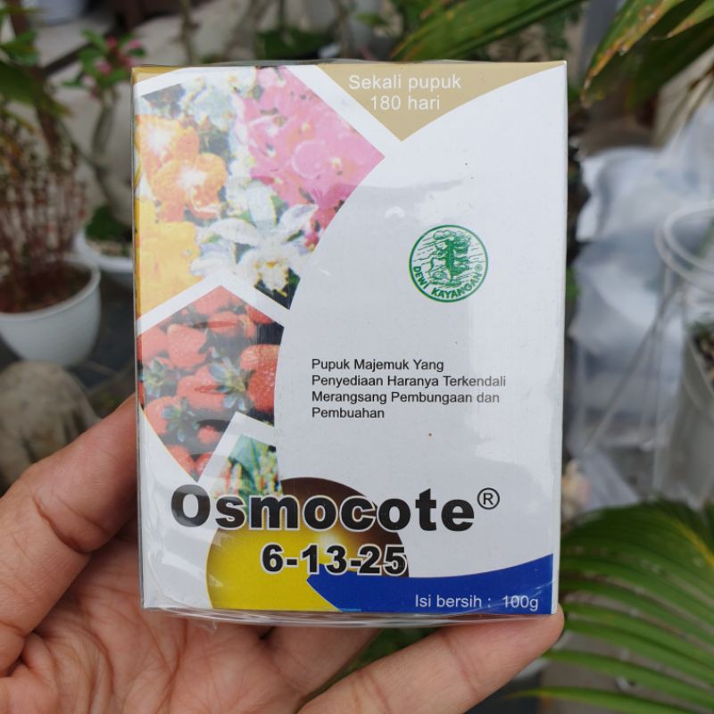 OSMOCOTE 100gr  pupuk dekastar decastar 13-13-13, 17-11-10, 6-13-25