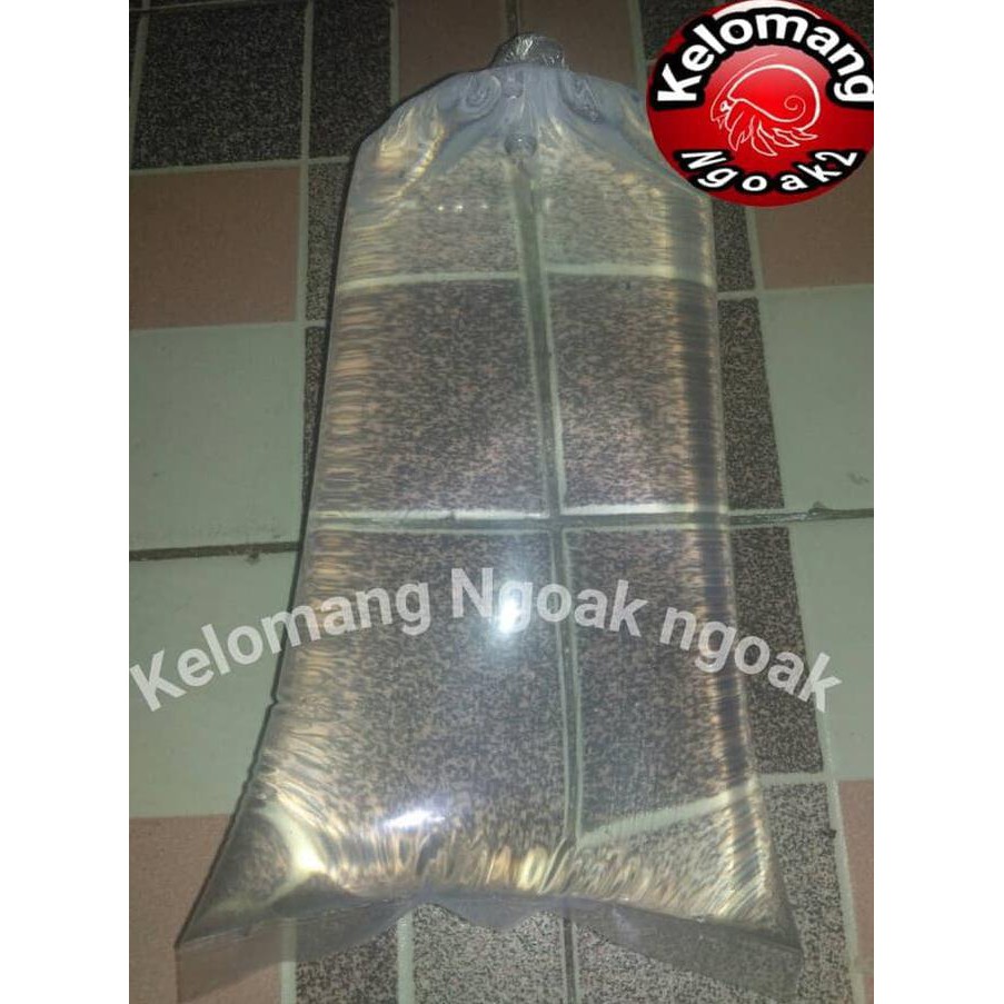 

SPECIAL!! Air laut Murni Filterisasi