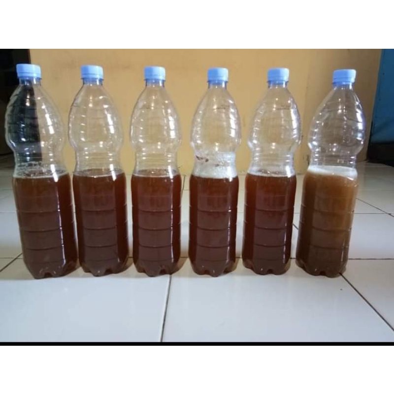 

madu hutan asli