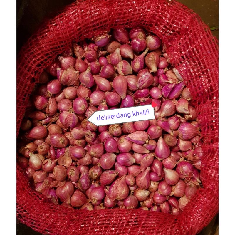 

BAWANG MERAH