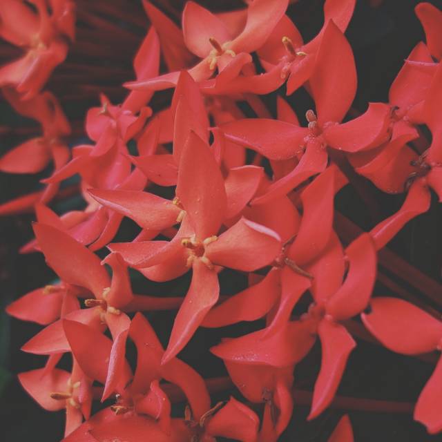 perdananugraharahindra