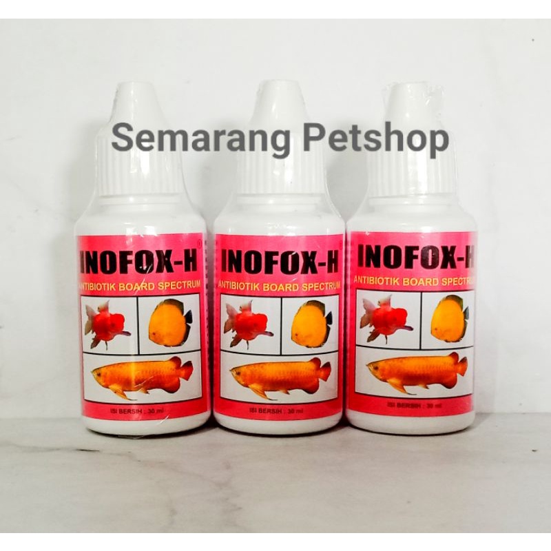 Obat Jamur Ikan Channa Obat Jamur Ikan Koi Obat Jamur Ikan Koki Obat Jamur Ikan Hias Obat Bakteri da