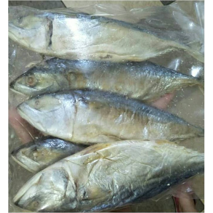 

Ikan Asin Gembung ( @ 500 Gr )