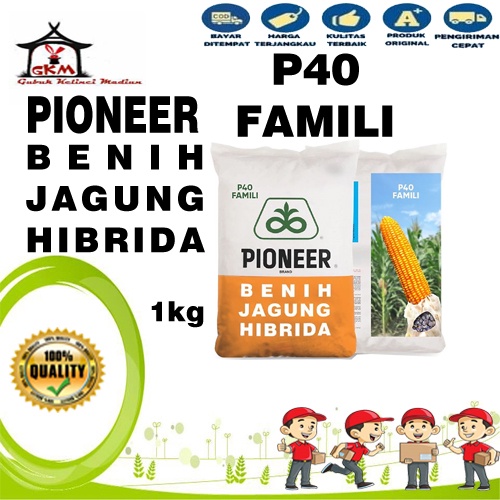 Benih Jagung PIONEER P40 1kg