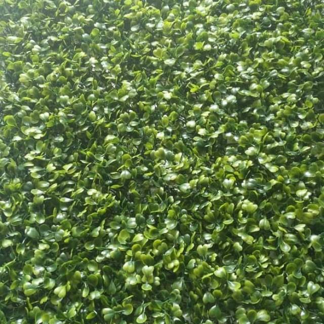 Tanaman hias rambat dolar sintetis artificial daun palsu Tanaman hias rambat dolar sintetis artificial daun palsu
